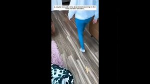 Видео от МЯУтаверс – как метавселенная, но с котами