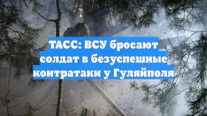 ТАСС: ВСУ бросают солдат в безуспешные контратаки у Гуляйполя