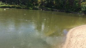 Текучка. Восточный фронт, глава 13