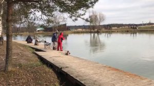 поимка форели на спиннинг