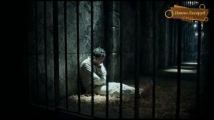 Царёву снова снится "сеточка охраноты"...