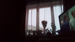 влог 20 ноября