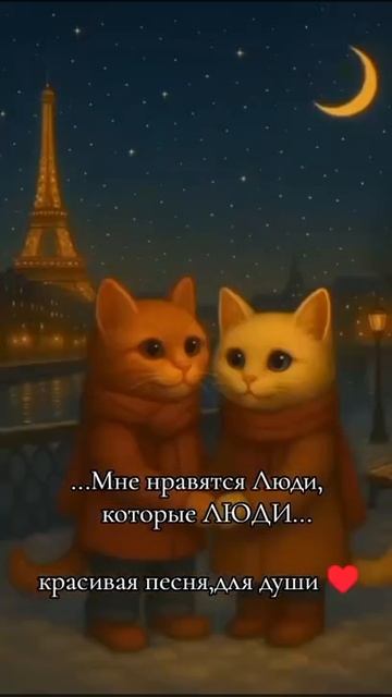 video_9796447507748.mp4