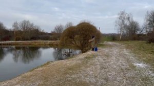 Видеообзор с водоема