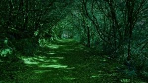 Релакс - Музыка // Лесные мечты: успокаивающая музыка для релаксации.