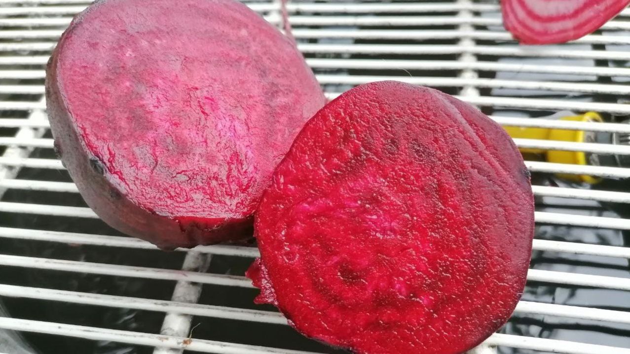 Сорта свеклы, описания, характеристики, фото