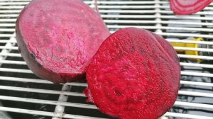 Сорта свеклы, описания, характеристики, фото