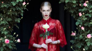 Музыка - музыка и новые песни Alex Mtrs для души. Слушать музыку для отдыха, работы, учёбы