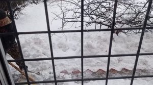 сибирский огород.Борьба со снегом