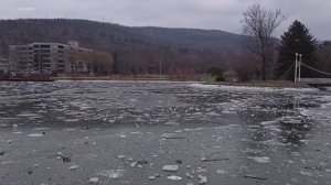 Разговор о взаимках. Прогулка в Южно-Сахалинском парке 20 ноября.