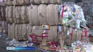 Череповчанка победила в конкурсе бизнес-проектов стран Азиатско-Тихоокеанского региона