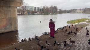 Покормили уточек, хотя они и так жирненькие 🦆