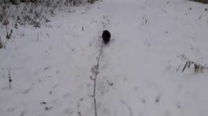 Подморозило на улице.