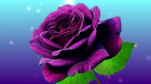 Футаж. Цветочный фон 245