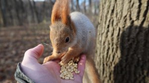 Толстая на ладони. Зарисовка