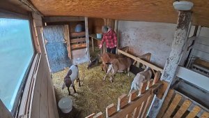 Выбрасываем добро на мусорку