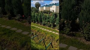 Поездка в СВЯТОЕ ДИВЕЕВО .mp4