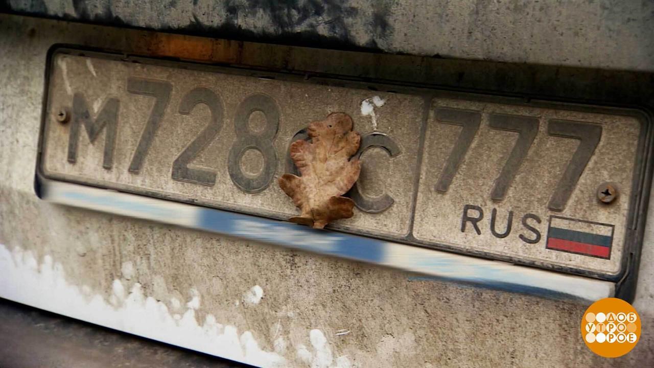 Вот это номер! Только грязный... Доброе утро. Фрагмент выпуска от 20.11.2025