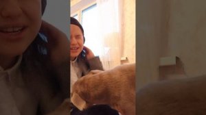 КАКОЙ ТО ПРАЗДНИК ШКОЛЫ?🏫