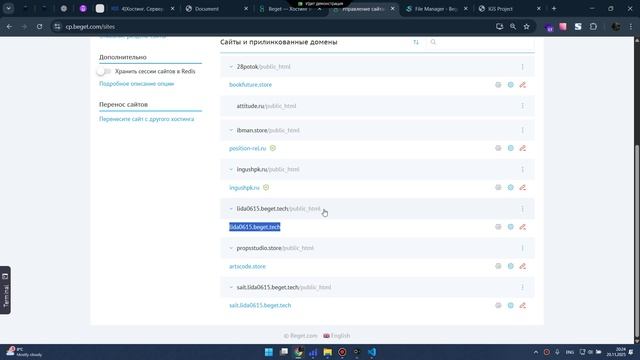 4)Хостинг. Cервер. Доменное имя.