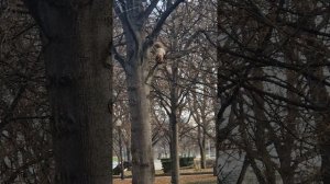 В поисках клада.  Ноябрь.