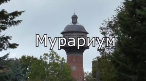 Зеленоградск и Мурариум