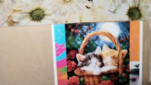 Мои покупки и планы.