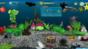 Мои аквариумы. Кормление День #479