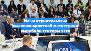 Из-за строительства высокоскоростной магистрали вырубили гектары леса