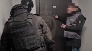 Порно с детьми 1–2 лет снимали в Питере — сообщили в МВД