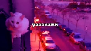 лучшее время