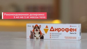 Дирофен-паста 20 для дегельминтизации котят, щенков, хорьков и грызунов при нематодозах и цестодозах