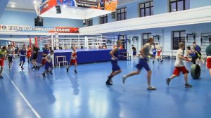 Воспитанники златоустовской школы бокса завоевали 31 медаль на областном турнире