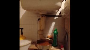 Старая раковина