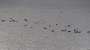 Пляж Якорная Щель в Сочи, ноябрь месяц