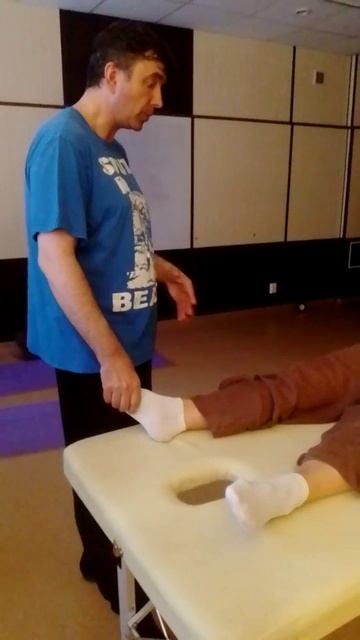 Какая схема проекций внутренних органов правильная