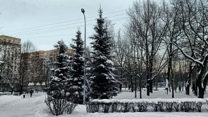 Малоохтинский парк (Санкт-Петербург)