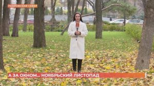 А за окном. 17 ноября 2025