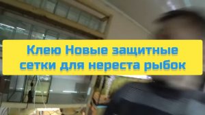 КЛЕЮ НОВЫЕ ЗАЩИТНЫЕ СЕТКИ ДЛЯ НЕРЕСТА РЫБОК