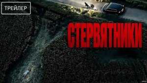 Стервятники ( 11 декабря 2025 )