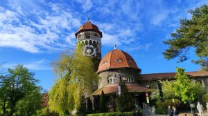 Прекрасный Светлогорск. Май 2025