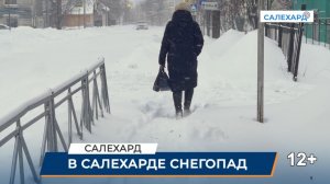 Снегопад. Уборка снега