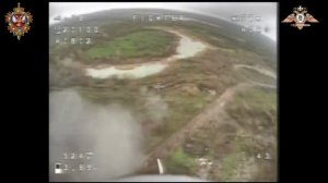 охотник уничтожил нору хряков вместе с жильцами