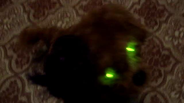 MOV04279 смотреть онлайн