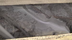 Площадки Садового центра Веры Глуховой закрыты до весны!