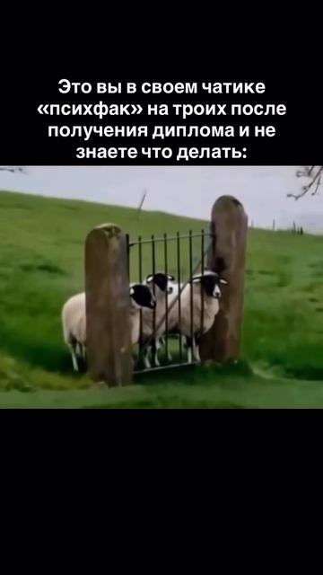 Психолог без практики? Учись преобразовывать знания в реальные результаты!