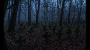 ЭТО НЕ БОЛЕЗНЬ...