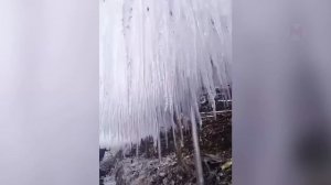 Жутко, Но Реально! Если бы Это Не Сняли На Камеру, Никто бы Точно Не Поверил