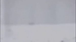 ВИА Романтики.Белокрылые чайки.