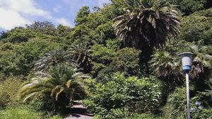 Абхазия ...( из неопубликованного )